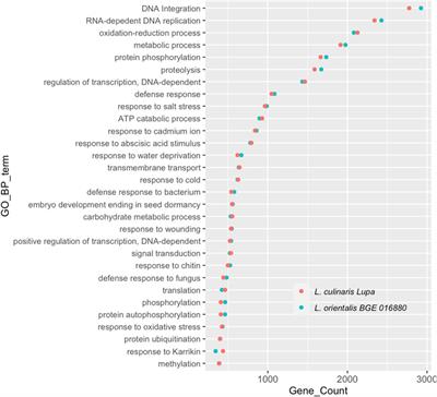 RNA-Seq and Gene Ontology Analysis Reveal Differences Associated With Low R/FR-Induced Shade Responses in Cultivated Lentil and a Wild Relative